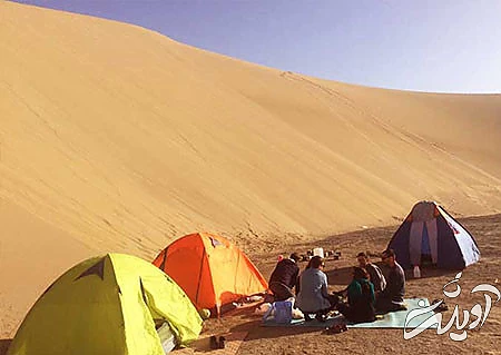 معرفی کویر ورزنه اصفهان, پوشش گیاهی کویر ورزنه, حیوانات کویر ورزنه